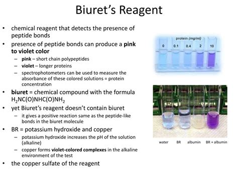 biuret reagent contains